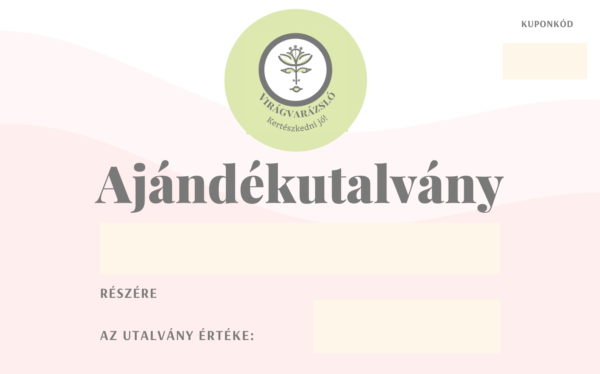Ajándékutalvány 5000 Ft