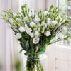 Eustoma grandiflorum - Liziantusz, préritárnics "Rosita II White" (min 20 szem) - Image 2