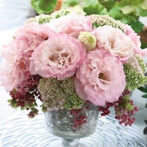 Corelli Peach (7 db liziantusz palánta)