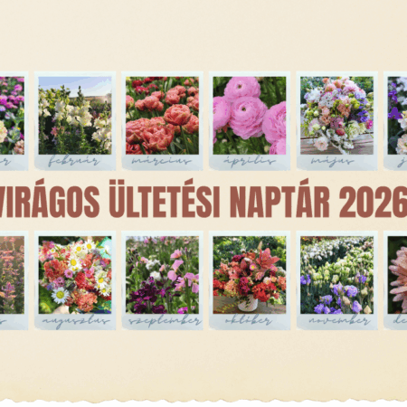 Falinaptár 2026 - Virágos ültetési naptár